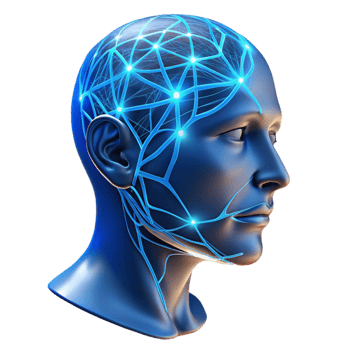 elegant traditional A Transparent Human Head with Visible Neu high quality png