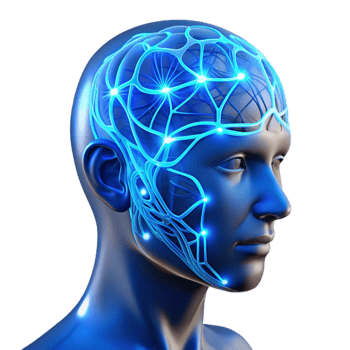 magnificent traditional A Transparent Human Head with Visible Neu genuine png