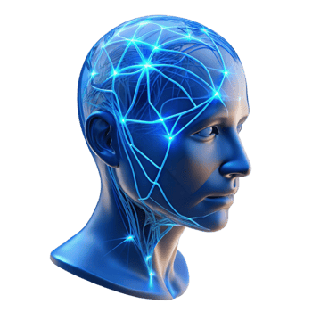 extraordinary artistic A Transparent Human Head with Visible Neu detailed png