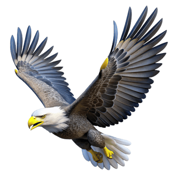impressive classic A Majestic Bald Eagle Soaring Through The professional png