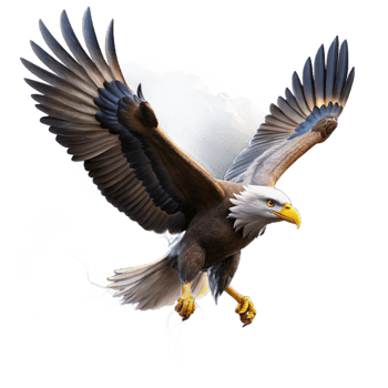 magnificent rustic A Majestic Bald Eagle Soaring Through A exclusive png