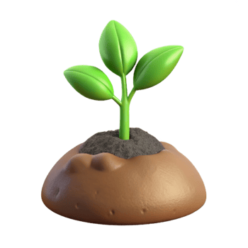 stunning traditional Seedling Growing in Soil Isolated Cutout authentic png