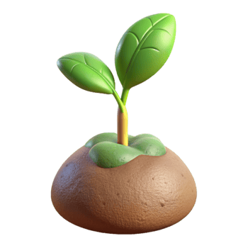 extraordinary creative Seedling Growth Timelapse Isolated detailed png