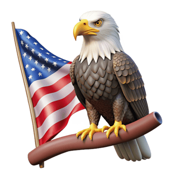 stunning contemporary A Majestic Bald Eagle Perched on a Branch png