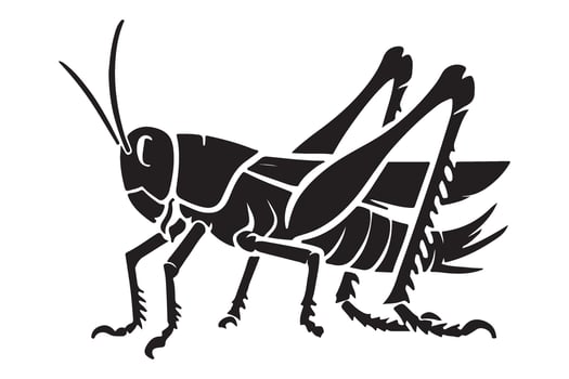 Detailed Grasshopper Illustration Insect Biology Anatomy Silhouette Design vector