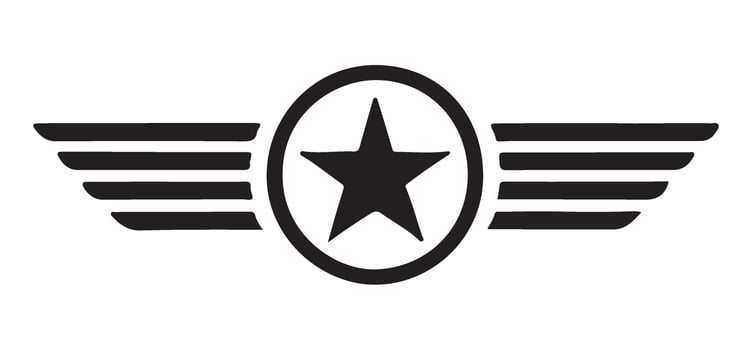 Striking Aviation Inspired Graphic Design Ideal for Branding vector