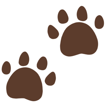 two brown paw prints on a transparent background png