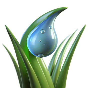 dramatic traditional A Close Up of a Dewdrop on a Blade Of premium png