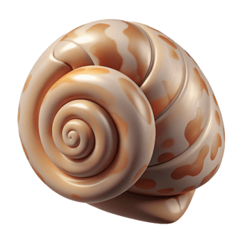 magnificent rustic Snail Shell Pattern Transparent Background png