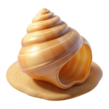extraordinary traditional A Close Up of a Seashell on the Beach Bri original png