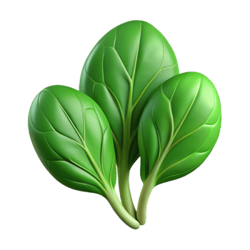 beautiful modern Spinach Leaves Fresh Green Isolated genuine png