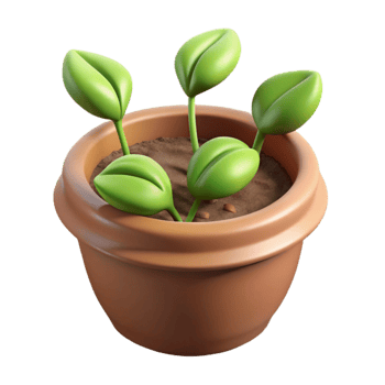 beautiful modern Sprouting Seeds in Pot Isolated Cutout authentic png