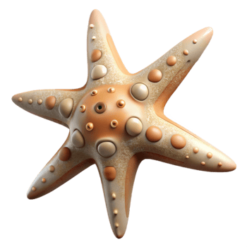 impressive modern Starfish Arms Spread Wide Underwater Perspective Transparent Background high quality png
