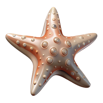 wonderful classic Starfish Close Up Transparent Background exclusive png