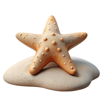 stunning artistic Starfish on Sand Isolated premium png