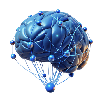 magnificent classic Human Brain Network Connection detailed png