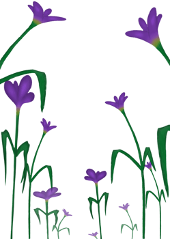 flower art illustration background png