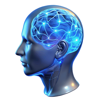 stunning creative A Transparent Holographic Human Head Disp professional png