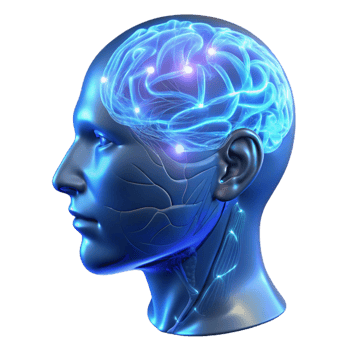 extraordinary vintage A Transparent Holographic Human Head Disp high resolution png