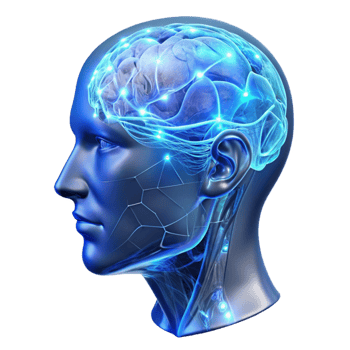 stunning minimalist A Transparent Holographic Human Head Disp professional png