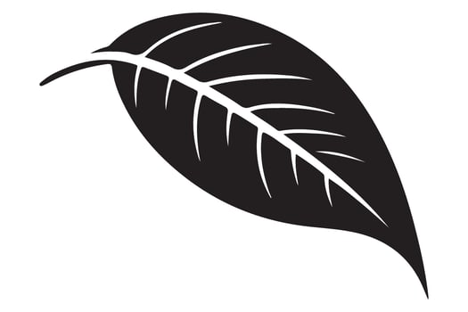 Simple Leaf Silhouette Illustration Nature Inspired Botanical Element Graphics vector