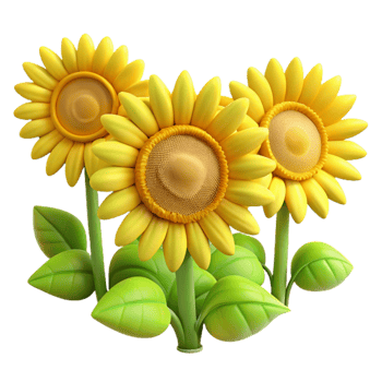 dramatic rustic Sunflower Field Transparent Background with Bright Yellow Blooms professional png