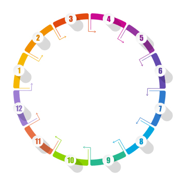 Infographic with 12 steps, and number. png