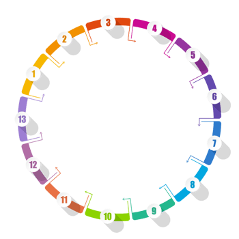 Infographic with 13 steps, and number. png