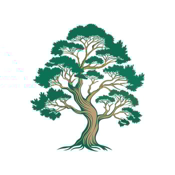 Distinct Juniper Tree Outline Art vector