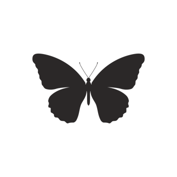 Simple black butterfly silhouette png