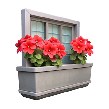 extraordinary vintage Window Box with Geraniums Isolated Red Flowers premium png