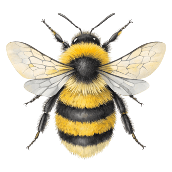 Detailed Watercolor Painting of a Bumblebee, Insect Illustration, Nature Art, Wildlife png