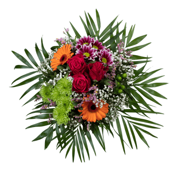 Top view of red orange blooming flower bouquet cut out isolated transparent background png