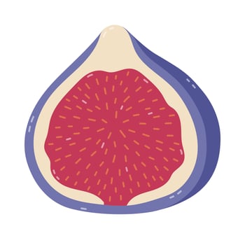 Lovely cartoon ripe fig fruit cut in half with purple peel, seeds. Childish hand drawn exotic piece of fruit isolated on white background. Trendy clipart for food design, packaging, restaurant menu. vector