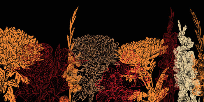 Abstract art background . Beautiful autumn wallpaper with line art chrysanthemum, gladiolus, celosia, and botanical leaves. Flowers on black.Botanical illustration for banner, poster, Web vector