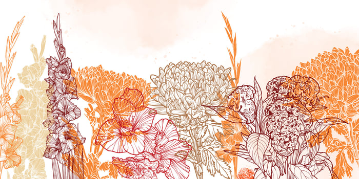 Abstract art background . Beautiful autumn wallpaper with line art chrysanthemum, gladiolus, celosia, and botanical leaves. Flowers on Watercolor. Botanical illustration for banner, poster, Web vector