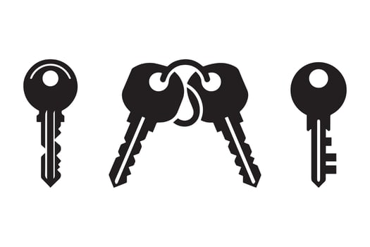 Keys silhouette on white background. Keys black icon vector