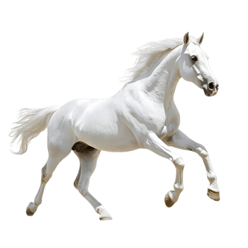 Strong and Agile White Horse Galloping Freely png