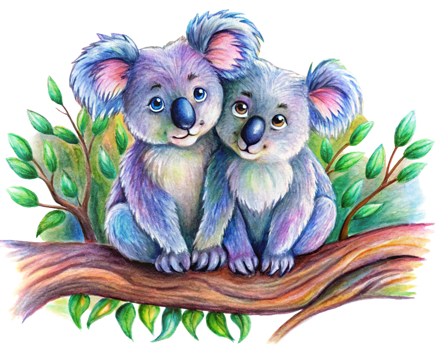 Dreamy tree branch with two affectionate koalas sharing love in transparent background png