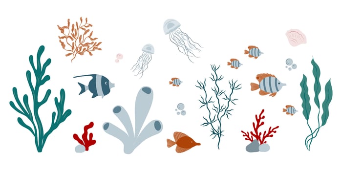 Marine algae, seaweed, corals, plants, shells, fish, jellyfish. Marine inhabitants of the underwater world. Underwater set vector