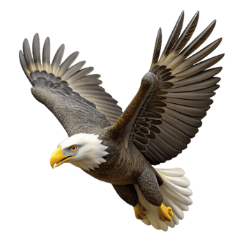 stunning contemporary Bald Eagle Soaring High Transparent Background detailed png