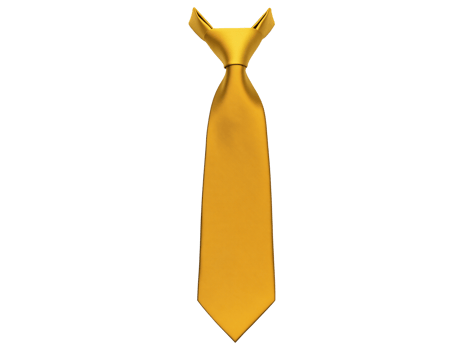 Golden Yellow Tie png