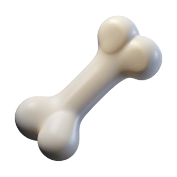 wonderful minimalist Bone Health Icon with White Bone Transparent Background premium png
