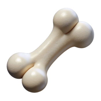 serene minimalist Bone Health Icon with White Bone Transparent Background high quality png