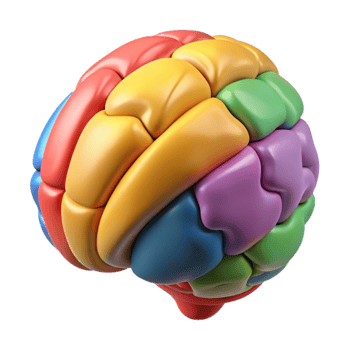 magnificent vintage Brain with Colorful Sections Transparent Background high resolution png