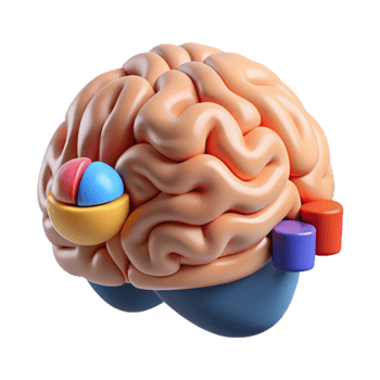 impressive modern Brain with Data Analysis Icons on White high resolution png
