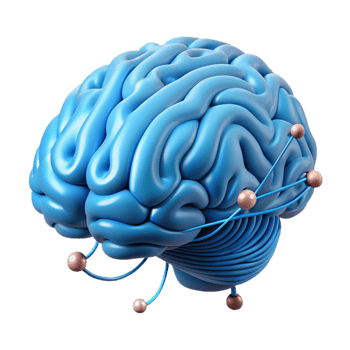 vibrant rustic Brain with Data Stream Overlay on White professional png