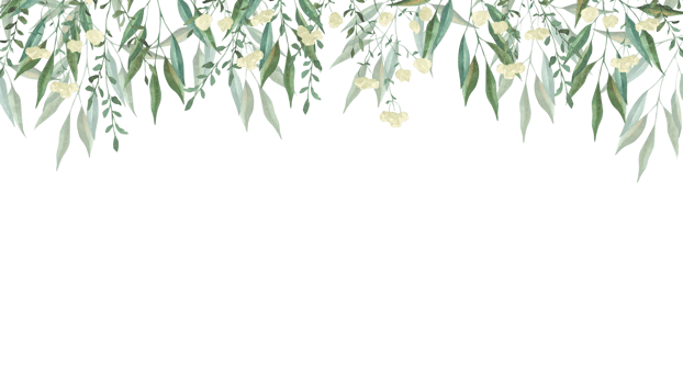 Frame with watercolor illustrations of various herbs. Frame with hand-drawn green branches of herbs. Perfect for wedding, birthday png