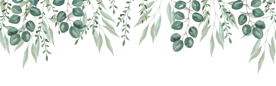 Frame with hand-drawn green branches of herbs. png