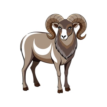 Detailed Illustration of Realistic Wiltshire Horn Sheep vector